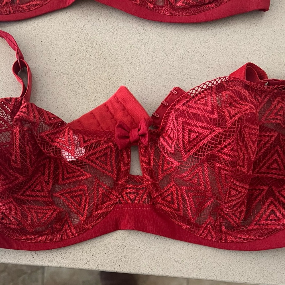 Elegant Red Lace Bra
